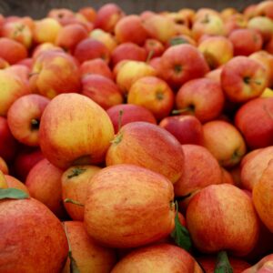 Pome Fruit