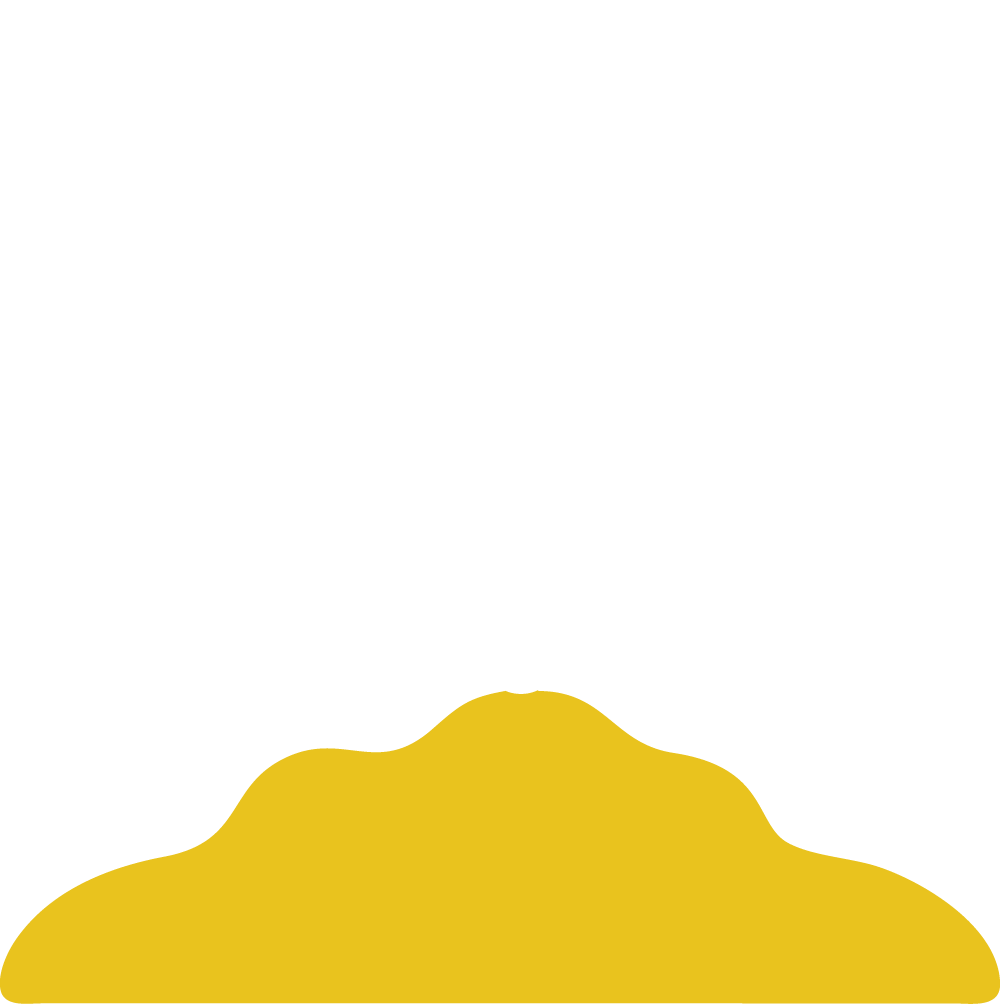 icon-leaf-efficiency