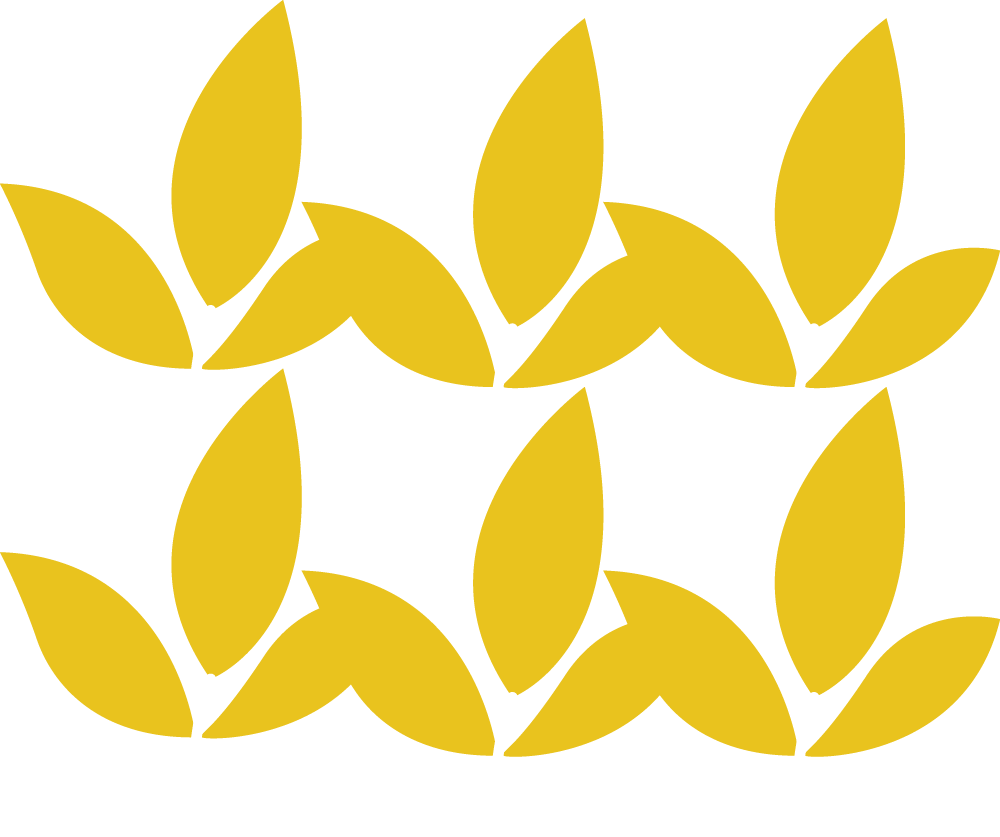 icon-more-growth